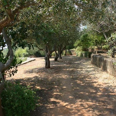 מרינה סרה Appartamento In Villa Fortunata Terra מראה חיצוני תמונה