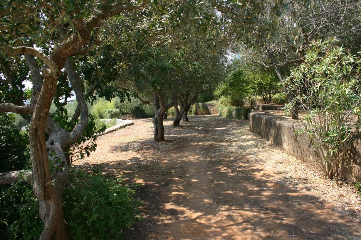 מרינה סרה Appartamento In Villa Fortunata Terra מראה חיצוני תמונה