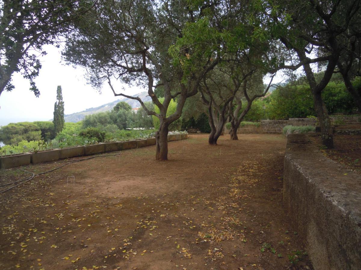 מרינה סרה Appartamento In Villa Fortunata Terra מראה חיצוני תמונה